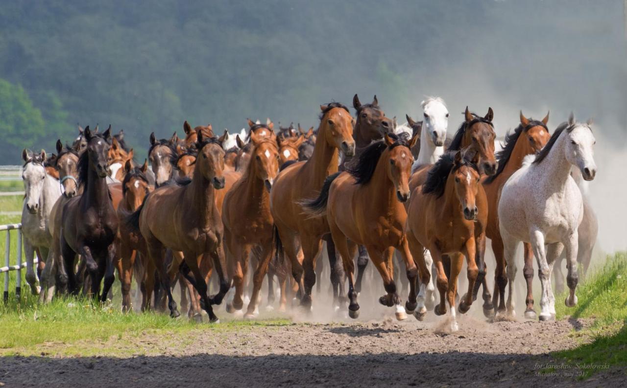 Willa Stara Wozownia W Lusowie Tarnowo Podgórne Buitenkant foto